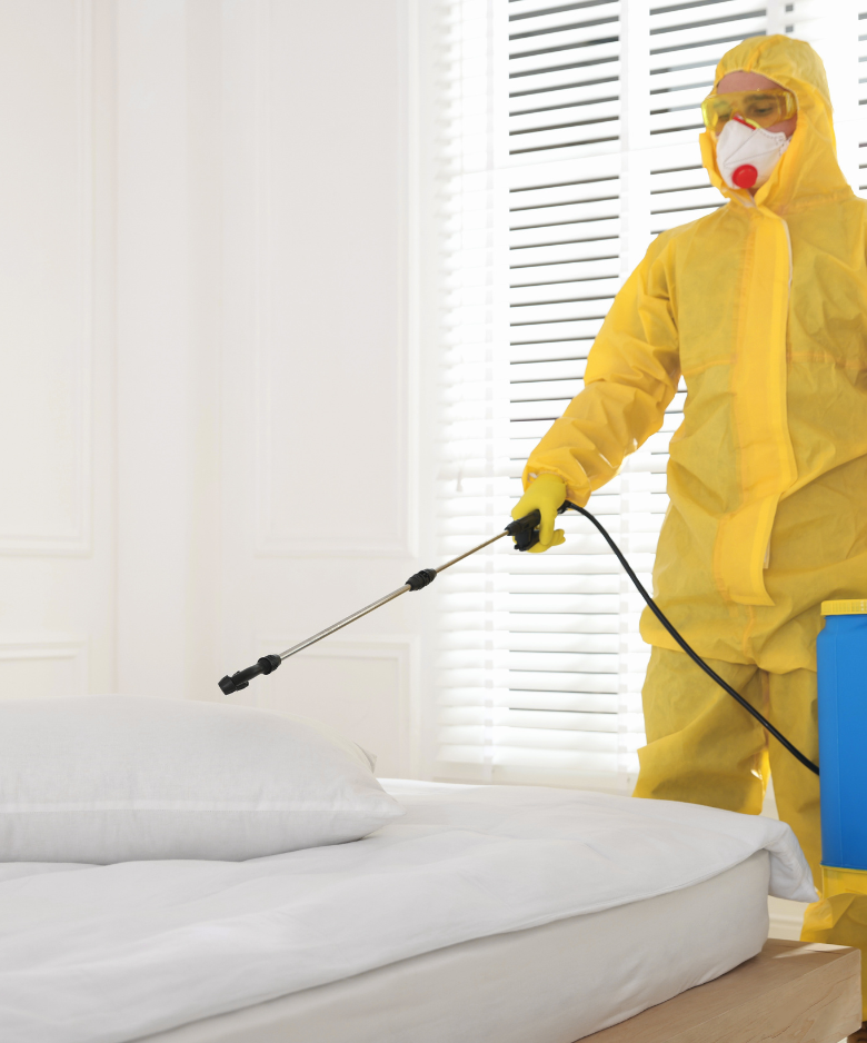 Professional Pest Control Team in Hove